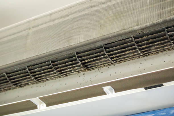 Best Commercial HVAC Duct Cleaning  in Minco, OK
